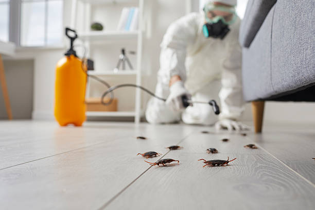 Commercial Kitchen Cockroach Control in Lantana